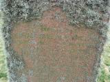image of grave number 778097